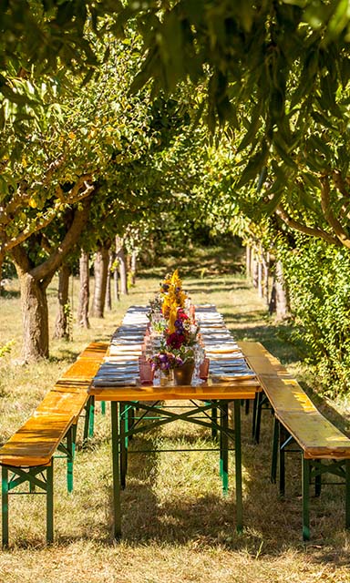 Brunch in de Boomgaard